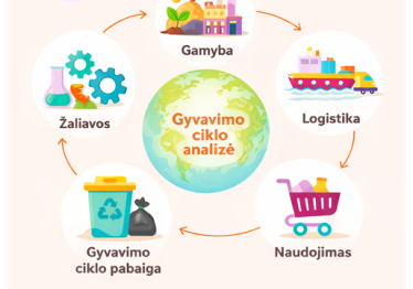 gyvavimo-ciklo-mastysena_57_01773655250-d1033937b3429a257a15581b6478b933.png
