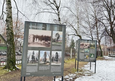 medziai-aplink-mus_57_01764804797-df6d089903da7dd070b84cf11f6f4008.jpg