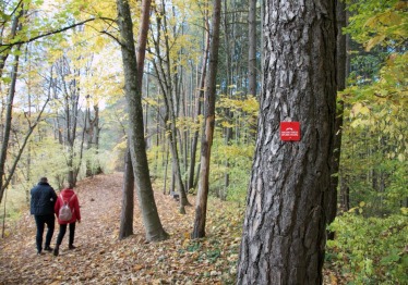 misko-gerybes_57_01773786697-b86b7d813c2525c92812245f78d38d5a.jpg