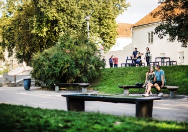 mykolas-kleopas-oginskis-ir-vilnius_57_01767732705-f542f7b717187308719df1b9462f93d3.jpeg