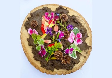 nature-pizza_1773758775-88f7b24cbbf6e6de11f102cb12a14783.jpg