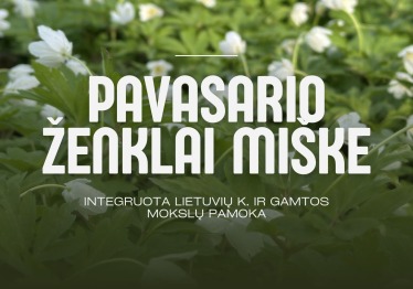 pavasario-zenklai-miske_57_01774861049-378c643983e97abedbe32060be97d996.jpg