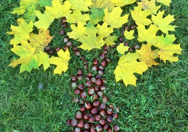 rudens-paveikslas_57_01760205115-8244cd89b70e393925d610ca34e4b009.jpeg