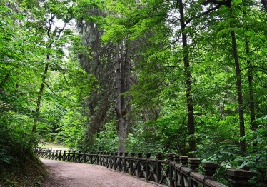 tiriamoji-ekspedicija-verkiu-regioniniame-parke_57_01744138549-ebc827b7482137d2e46801a6bd33df8e.JPG